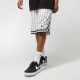 Karl Kani Ανδρικό σορτς Small Signature Pinstripe Mesh Shorts